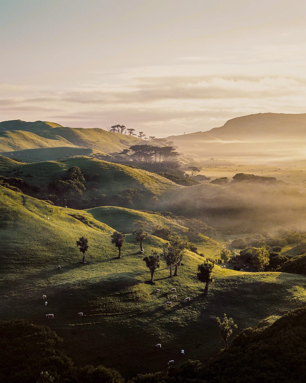 Nueva Zelanda